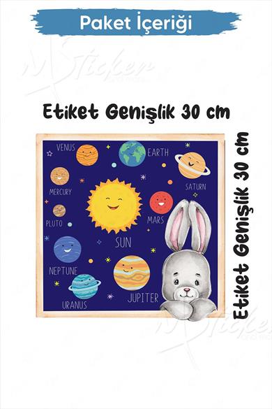 Tavşanlı Gezegen Sticker Seti 30x30 cm Cam Duvar Sticker Seti
