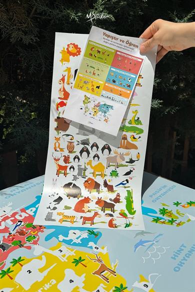 Yapıştır ve Öğren Eğitici ve Öğretici Dünya Haritası Çocuk Odası Duvar Sticker, 56 Parça