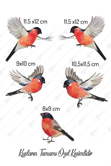 Yılbaşı Kış Kuşları Cam Duvar Sticker Seti 