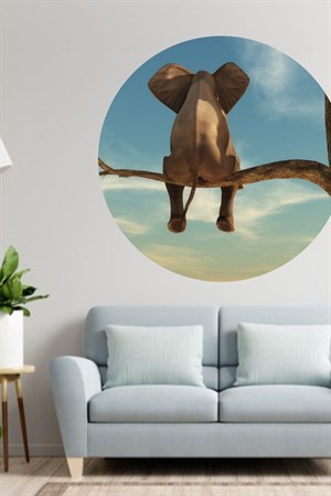 Yuvarlak Dalda Oturan Fil Duvar Sticker (95x95 cm)