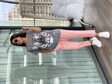 Gri Kaplan Baskılı T-Shirt