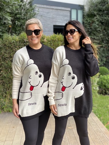 Siyah Bisiklet Yaka Ayıcık Detay Triko Kadın Kazak