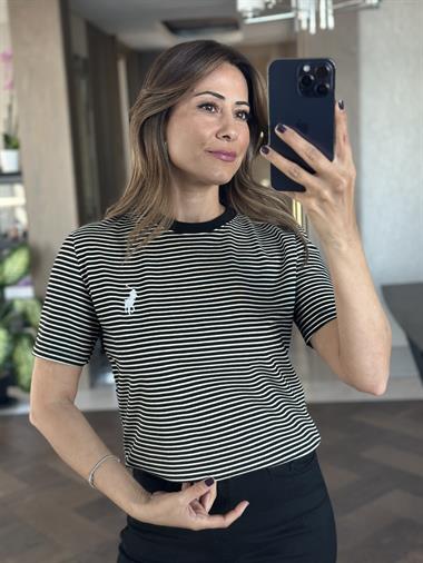 Siyah Çizgili Nakışlı Bisiklet Yaka Kadın T-Shirt