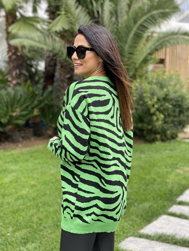 Yeşil Zebra Desen Bisiklet Yaka Kadın Triko Kazak