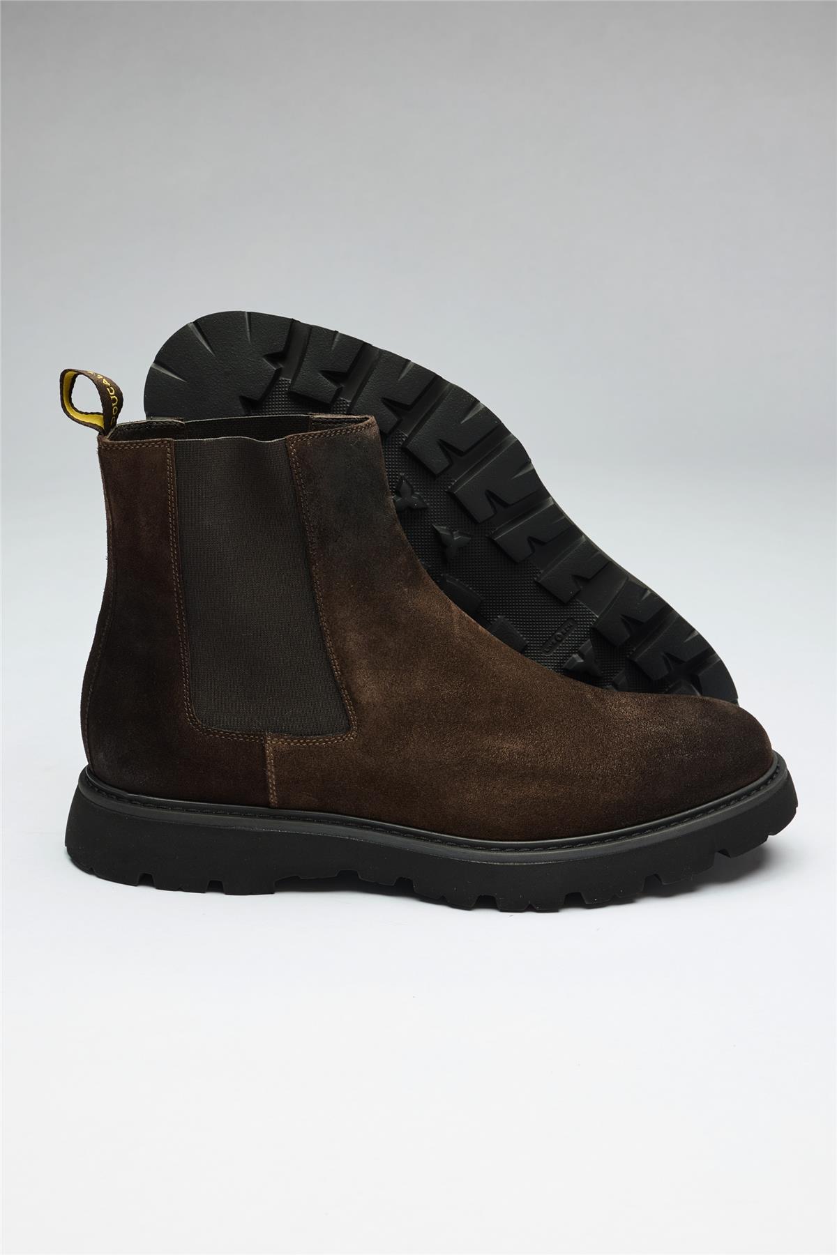 Kahverengi Bantlı Süet Bot