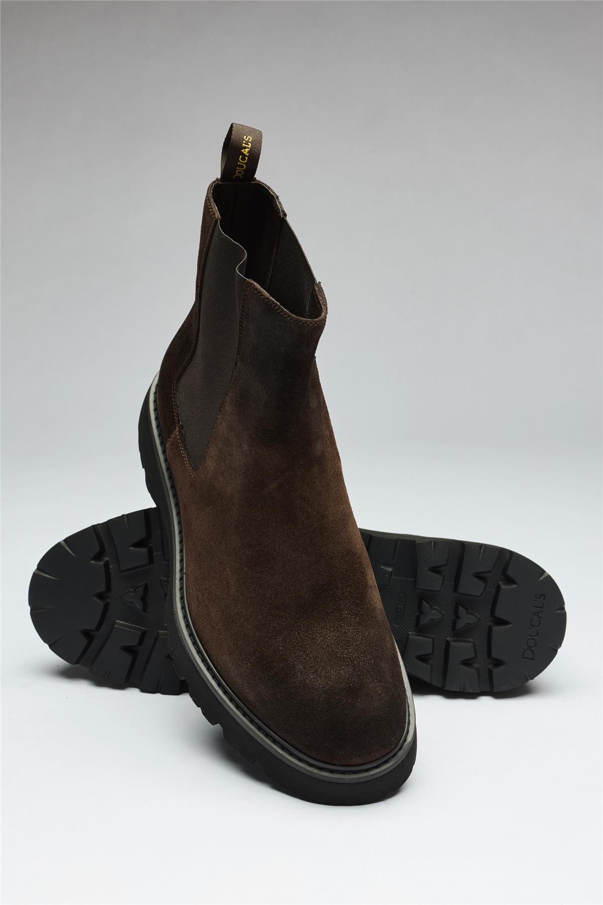 Kahverengi Bantlı Süet Bot