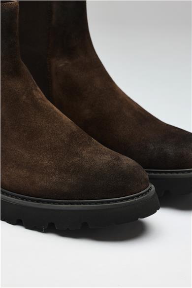 Kahverengi Bantlı Süet Bot