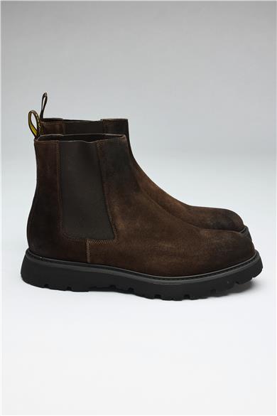 Kahverengi Bantlı Süet Bot