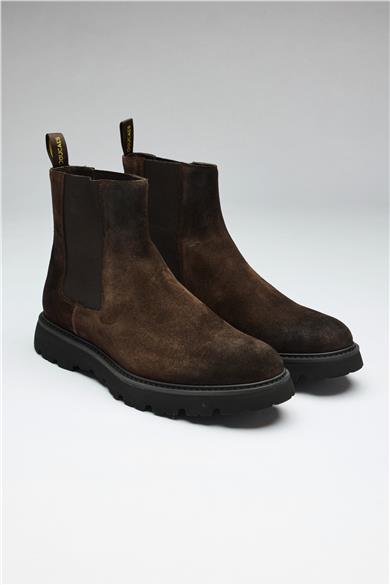 Kahverengi Bantlı Süet Bot