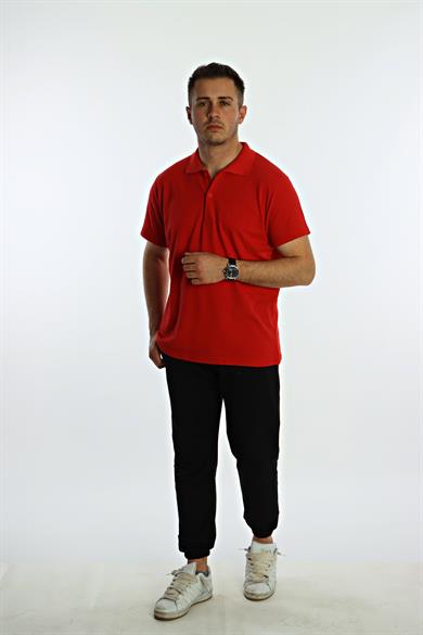 Betep Polo Yaka Tşört Kırmızı