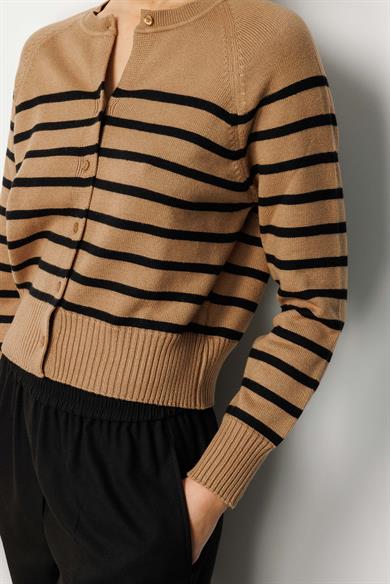 O Yaka Çizgili Hırka