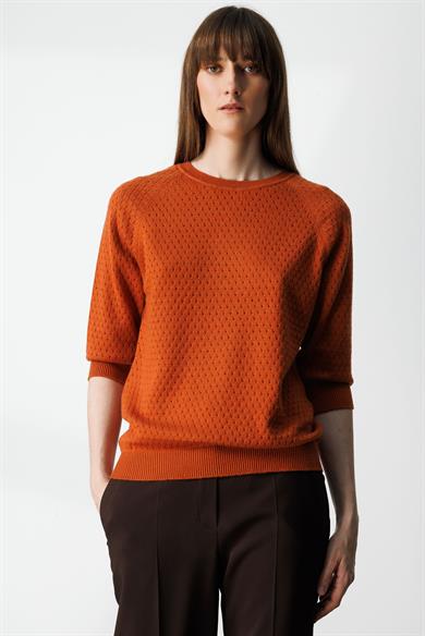 Nopeli O Yaka Truvakar Kol Triko