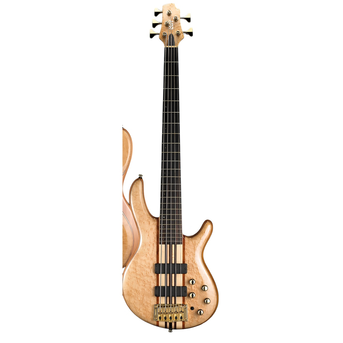 CORT A4 CUSTOM 20THNAT BAS GİTAR ÇANTALI