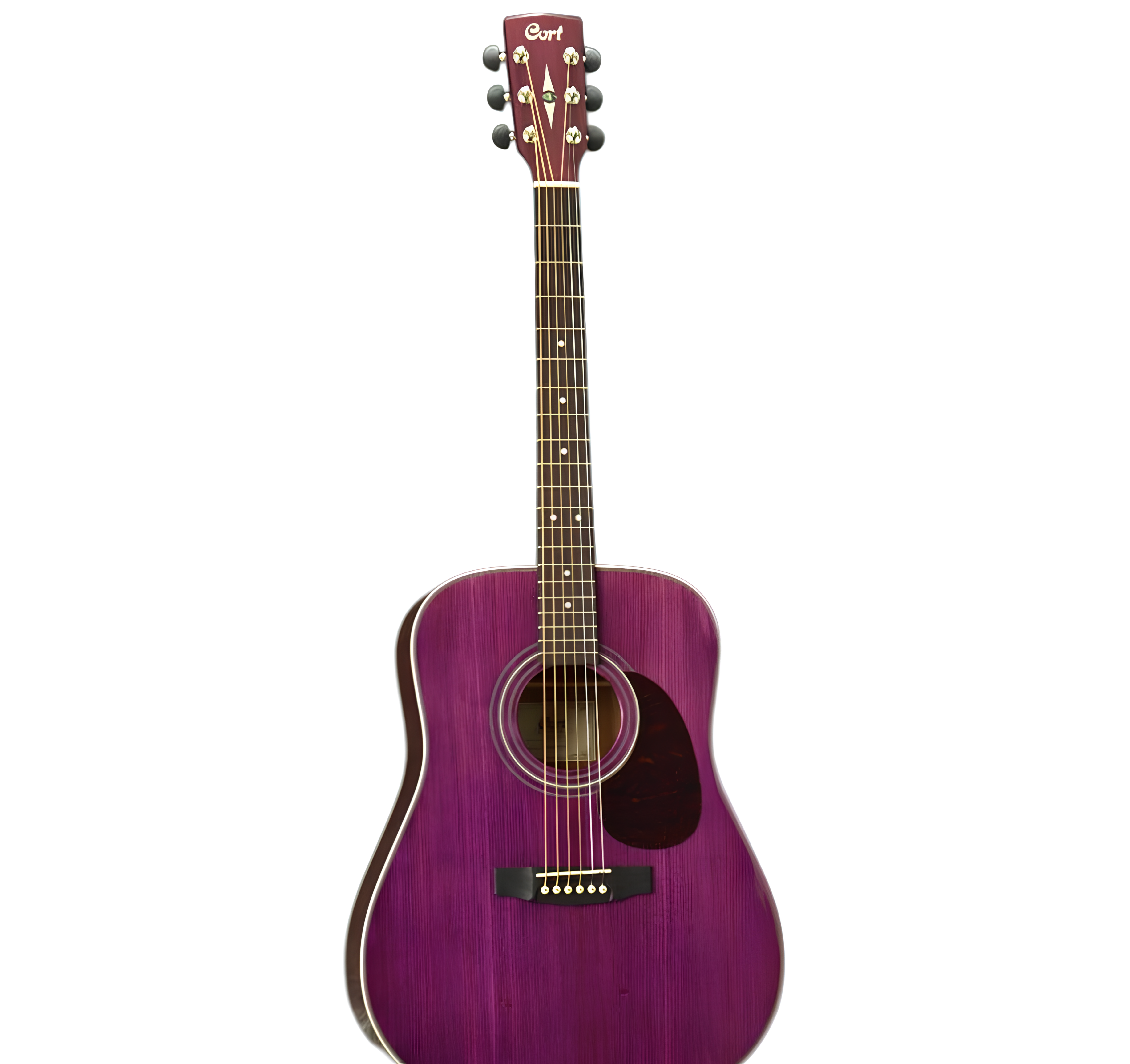 Cort EARTH70TP AKUSTİK GİTAR