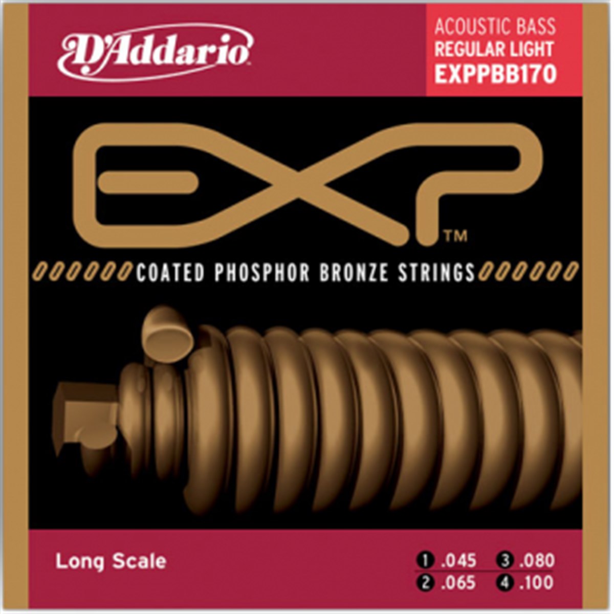 DADDARIO EXPPBB170 Akustik Gitar Teli 45-100
