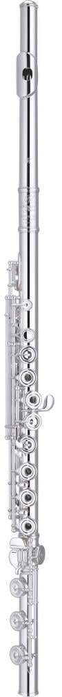 Miyazawa BR-958-1REIH BR-958-1RIE gibi, B kuyruklu