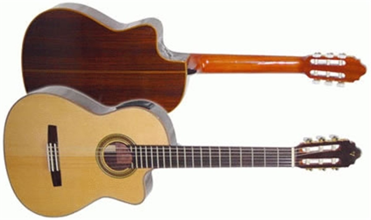 Valencia CG50CE Elektro Klasik Gitar