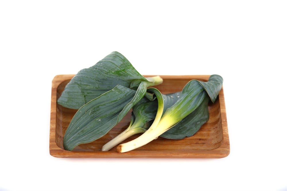 Kuzu Kulağı Otu 1 KG