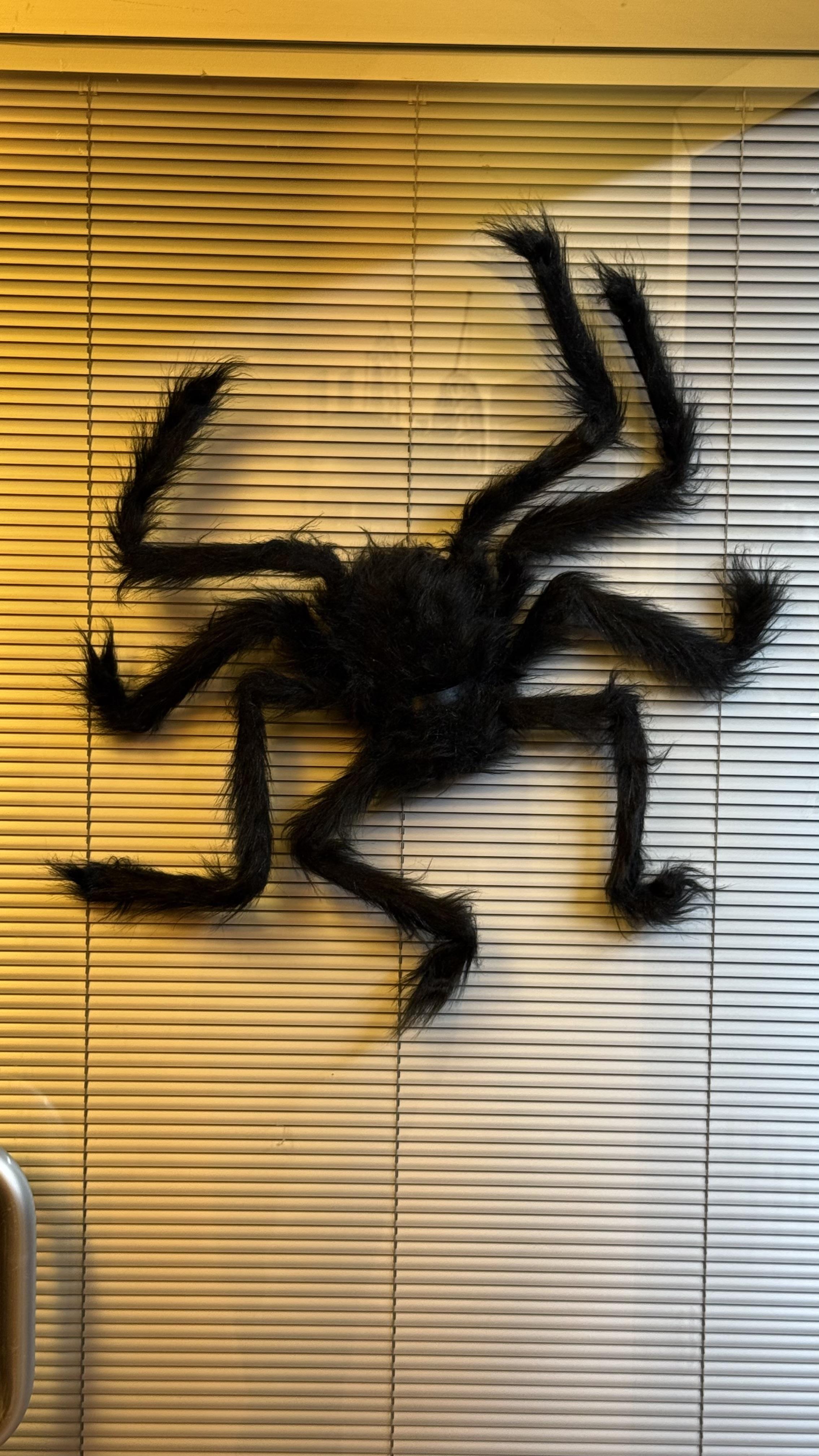 Cansüs50 cm Tüylü Siyah Örümcek Dekor | Cadılar Bayramı Süsü123456947