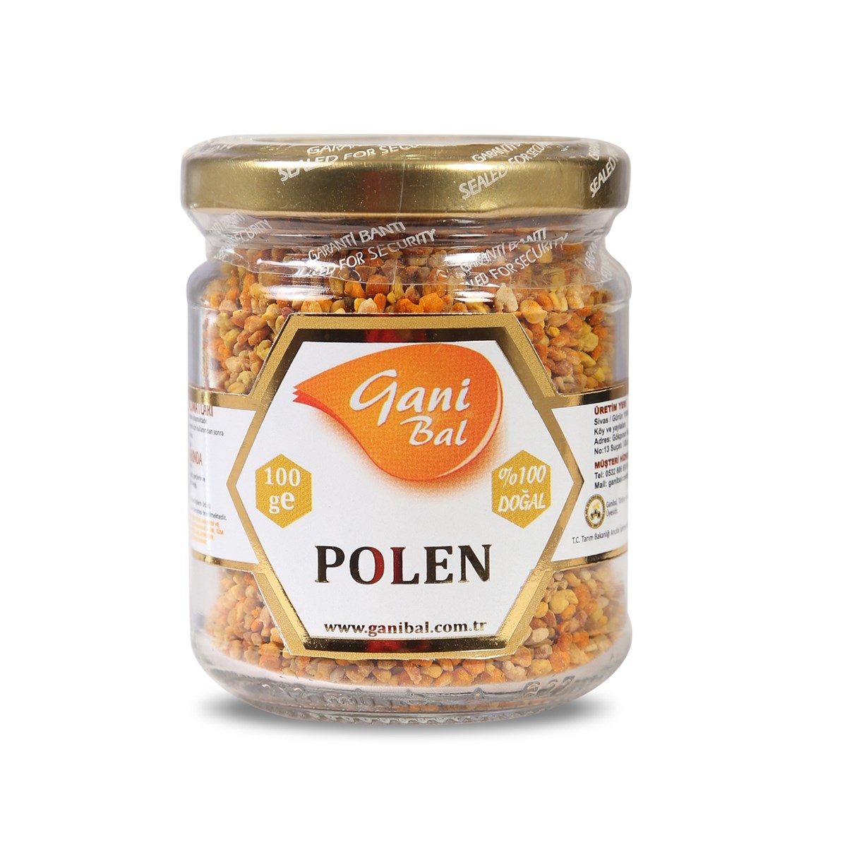 Polen 100 Gr