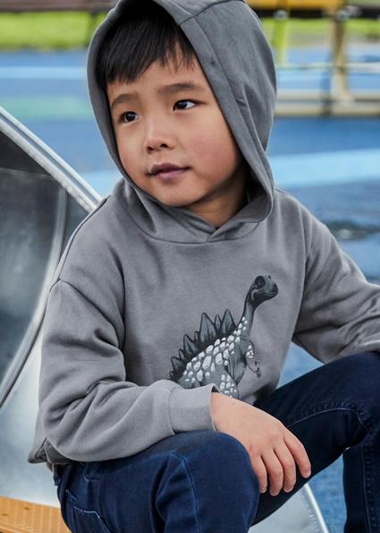 Mayoral Gri Erkek Çocuk Dinazor Baskılı Kapüşonlu Sweatshirt 4407