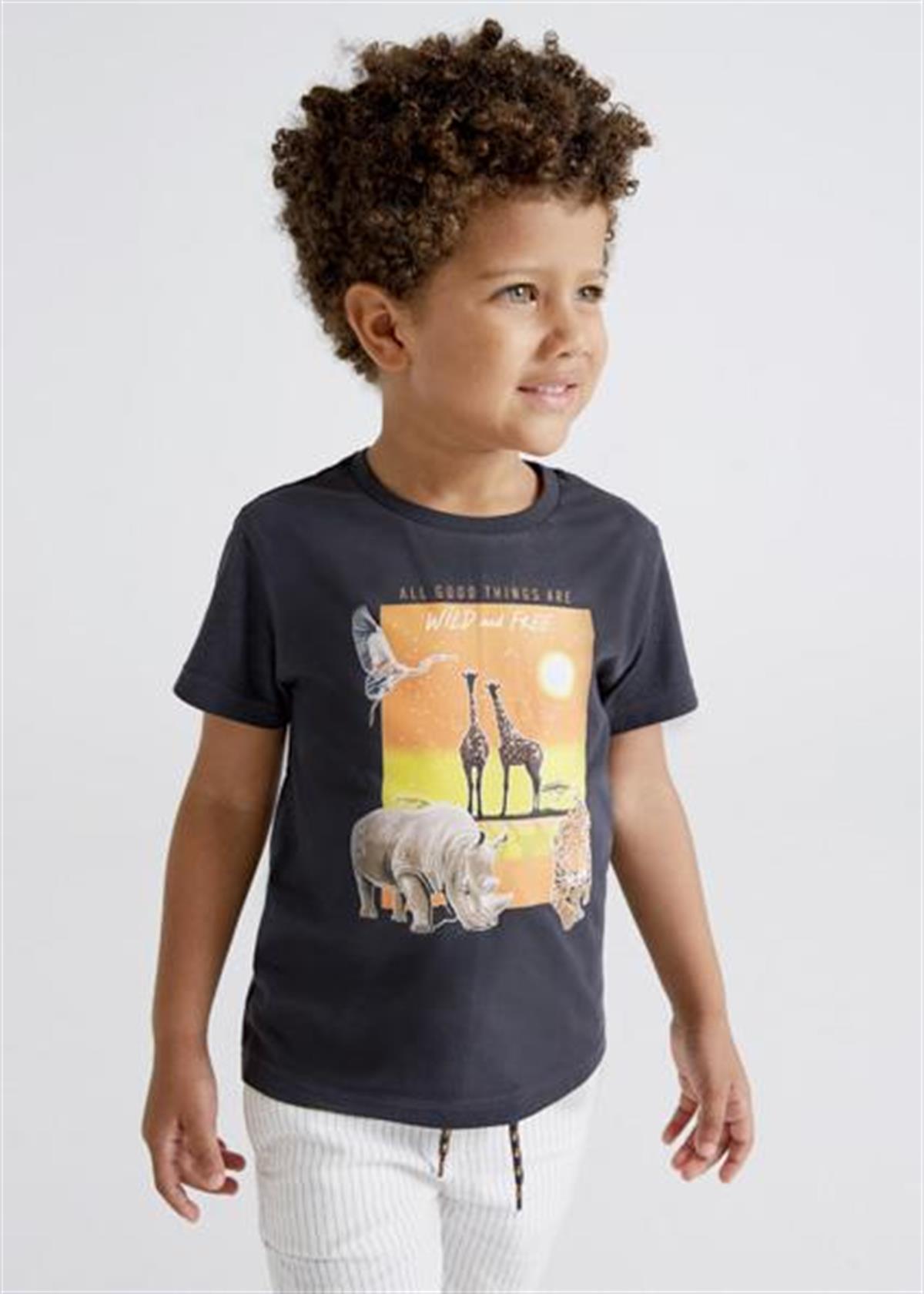 Mayoral Erkek Çocuk Gri Tshirt