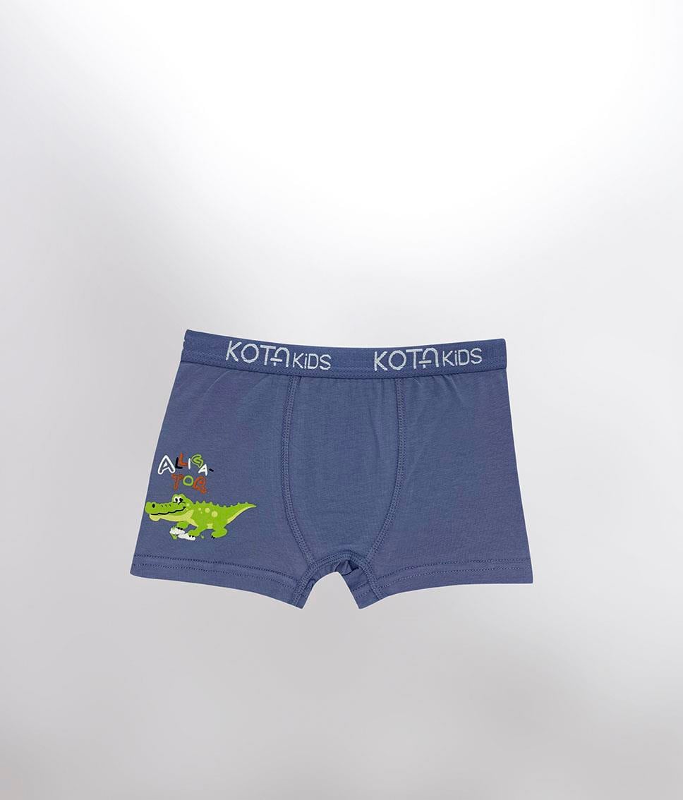 ERKEK ÇOCUK PARÇA BASKILI BOXER