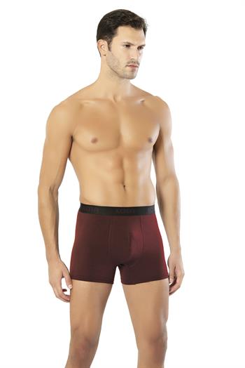 ERKEK MODAL BOXER