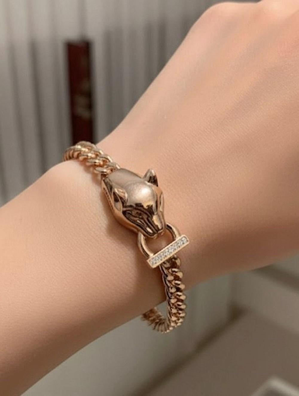 ÇELİK ASLAN BİLEKLİK