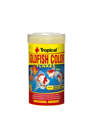 77173-GOLDFISH COLOR 100ML/20G