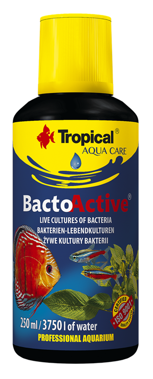 TROPICAL-BACTO ACTIVE 250ML