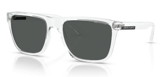 Armani Exchange 0AX4080S 823587 57 erkek