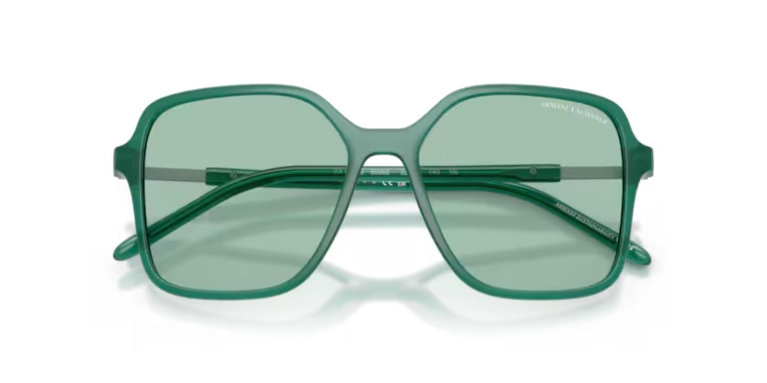 Armani Exchange AX 4163S 8398/2 53 Kadın Güneş Gözlüğü