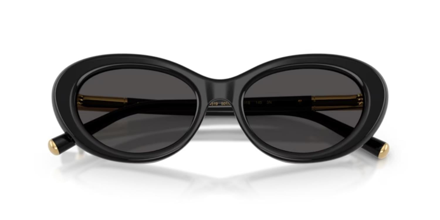 Dolce&Gabbana DG 4519 501/87 54 Kadın Güneş Gözlüğü