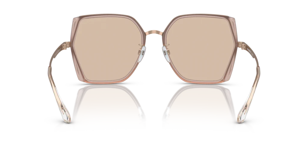 EMPORIO ARMANI EA2142D 301193 Kadın Güneş Gözlüğü