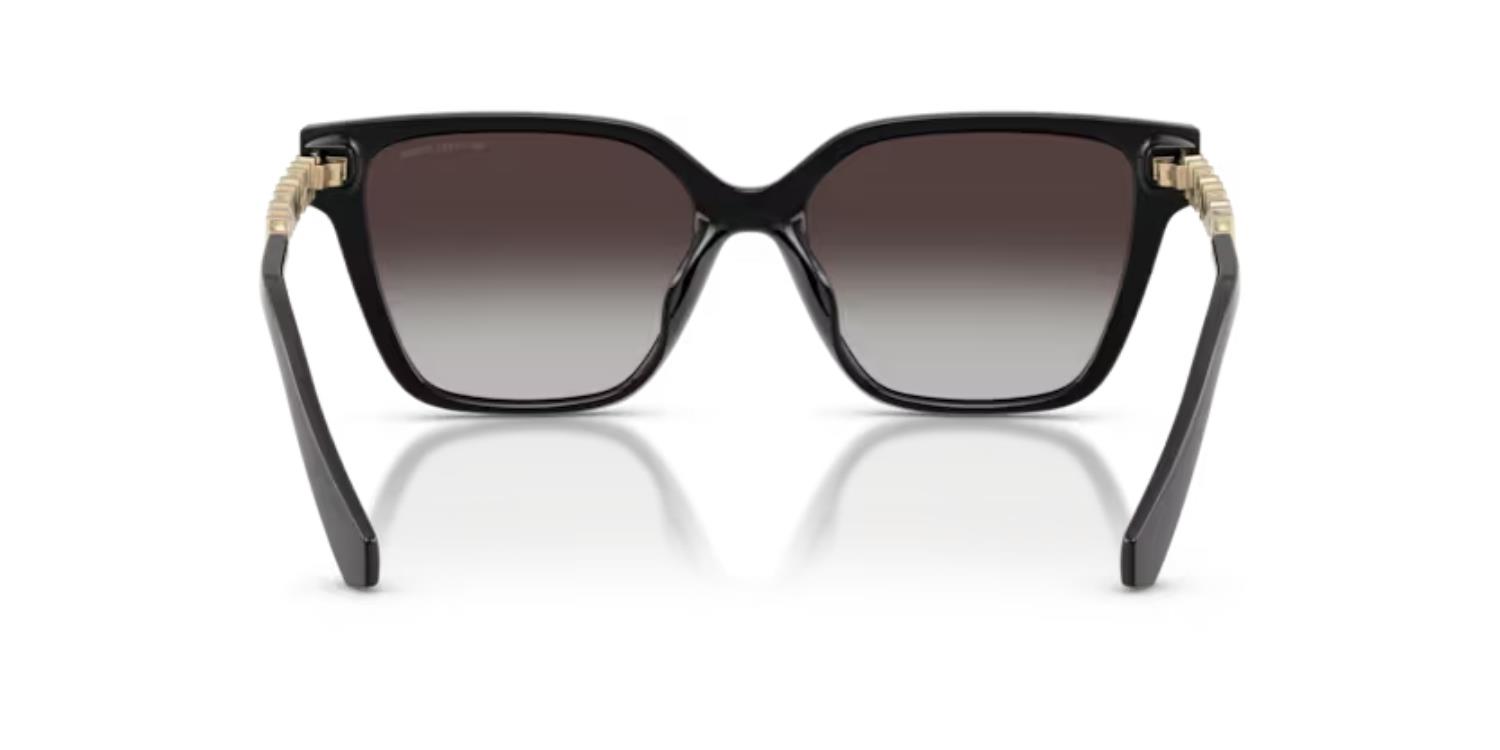 MICHAEL KORS 2263U 30058G 56 Kadın Güneş Gözlüğü
