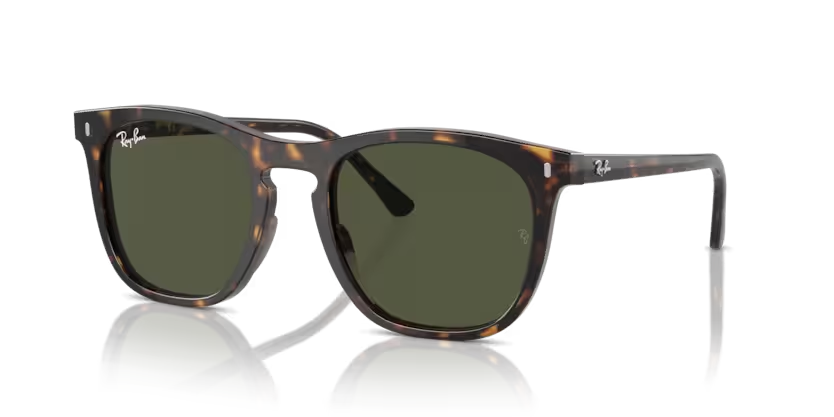 Rayban 0RB2210 902/31 53 kadın