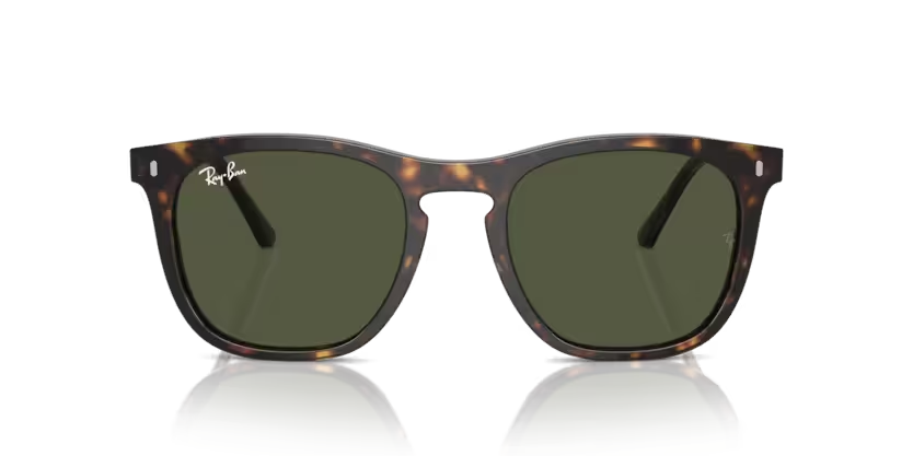 Rayban 0RB2210 902/31 53 kadın