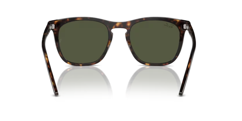 Rayban 0RB2210 902/31 53 kadın