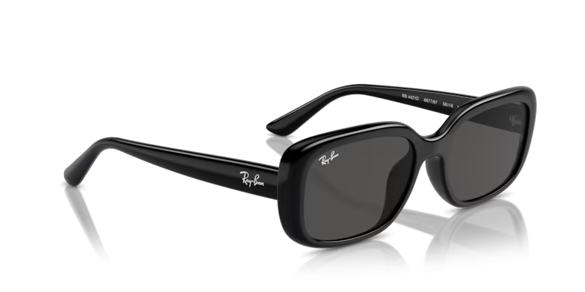 Rayban 0RB4421D 667787 56 kadın