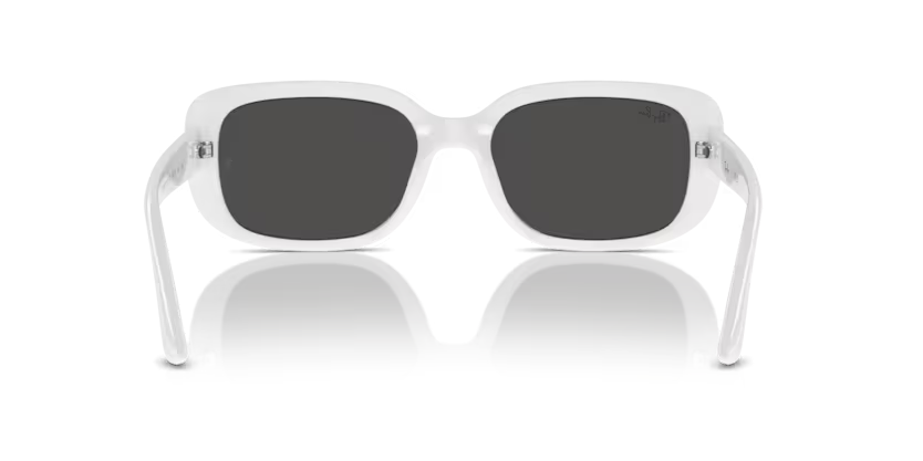 Rayban 0RB4421D 677287 56 kadın