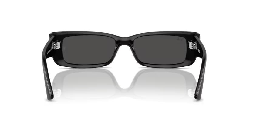 Rayban 0RB4425 667787 54 kadın