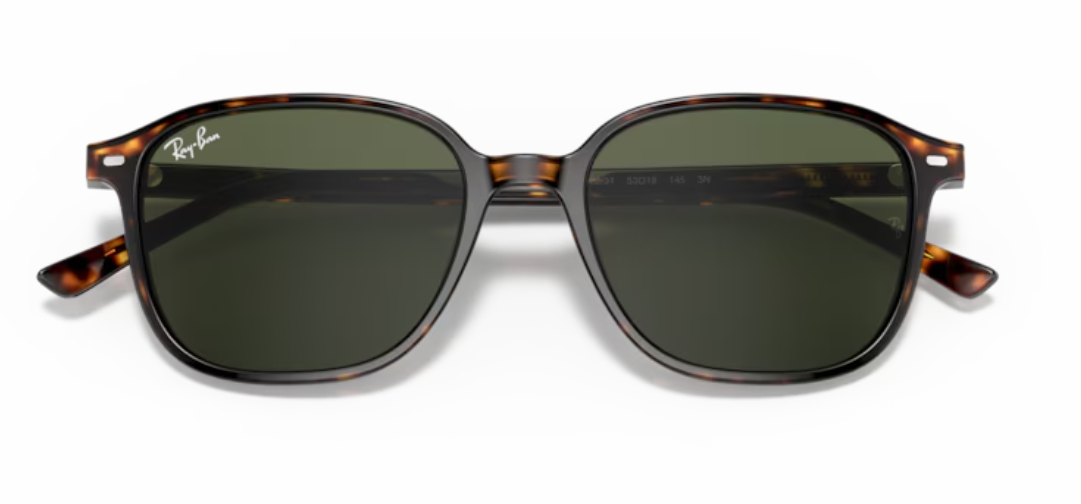 Rayban 2193 902/31 53-18 kadın güneş gözlüğü