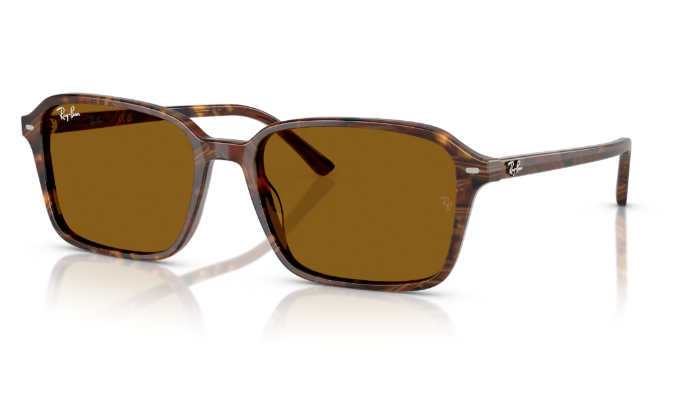Rayban  2231 141833 58 erkek
