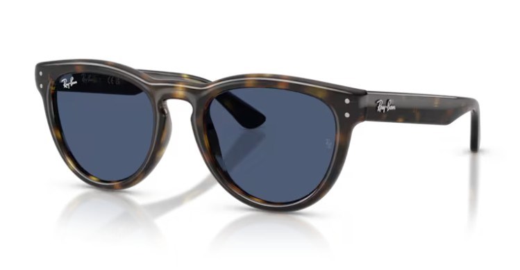 Rayban 2237 710/80 51 kadın güneş gözlüğü
