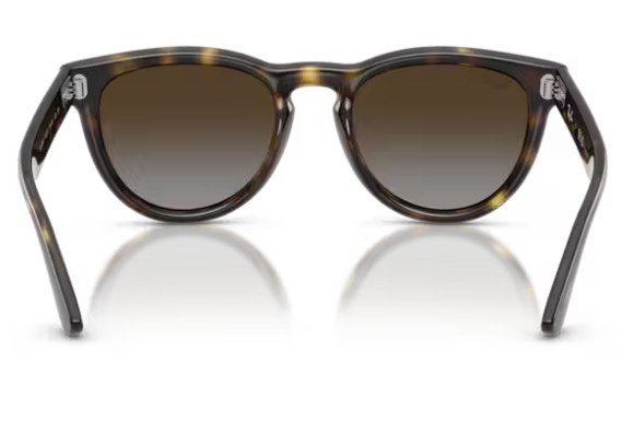 Rayban 2237 710/T5 51 kadın güneş gözlüğü