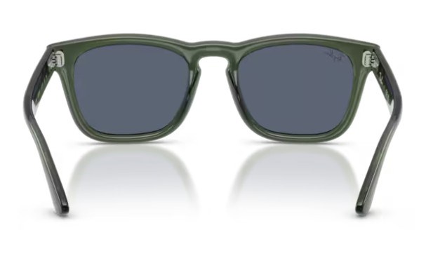 Rayban 2238 689887 52 kadın güneş gözlüğü