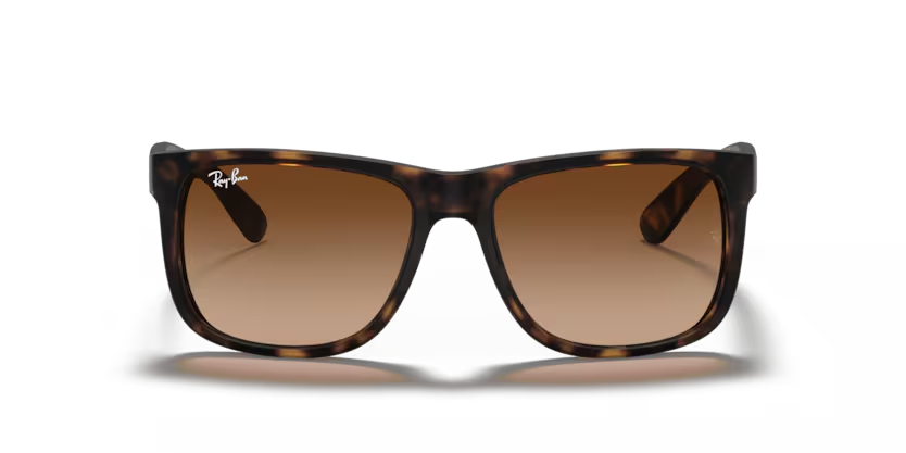 Rayban 4165 710/13 55 Erkek Güneş Gözlüğü