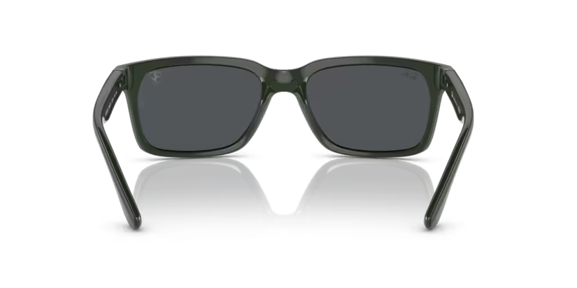 Rayban 4393M F68087 56 kadın