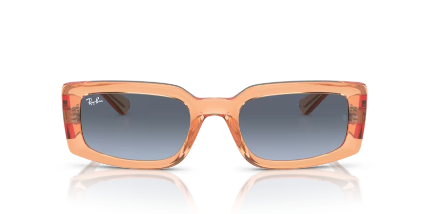 Rayban 4395 66868F 54 erkek